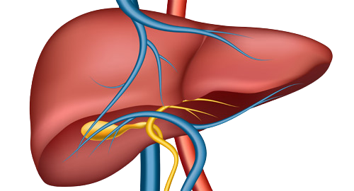 Multidisciplinary liver care team in Hyderabad