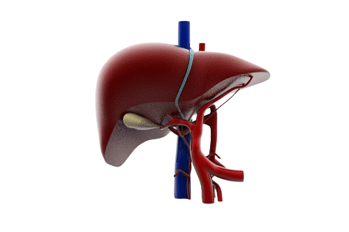 Pediatric liver transplant in Chennai