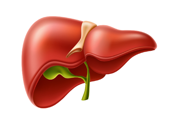 Liver transplant cost in Hyderabad