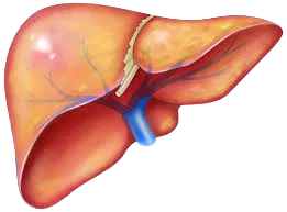 Advanced liver surgery techniques in Chennai